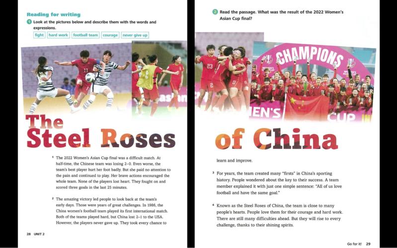 深入分析计划激情S2游戏攻略：成就与挑战并存