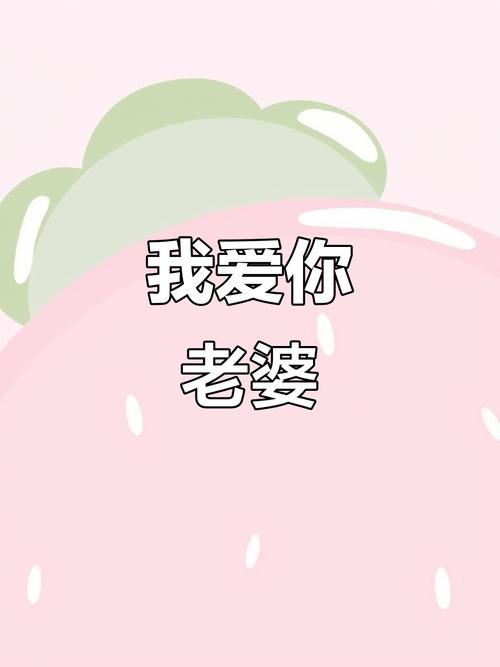 我爱你的妻子：最新版本解析与深度分析