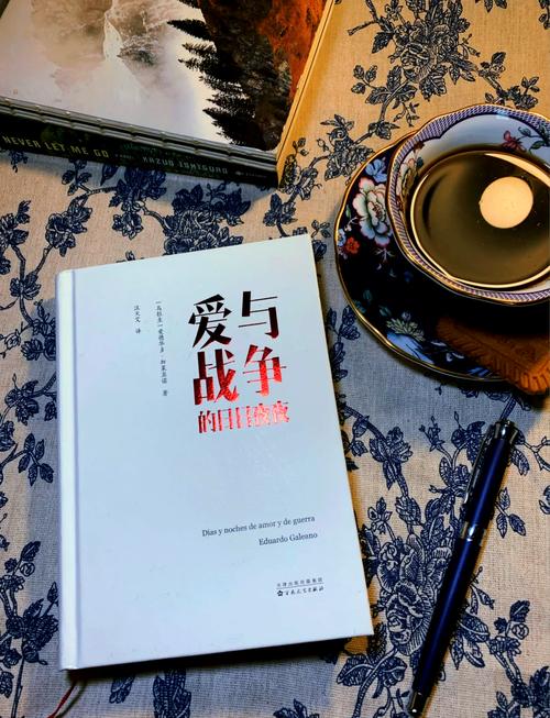 全面解析：《爱与战争》系列三部曲游戏攻略