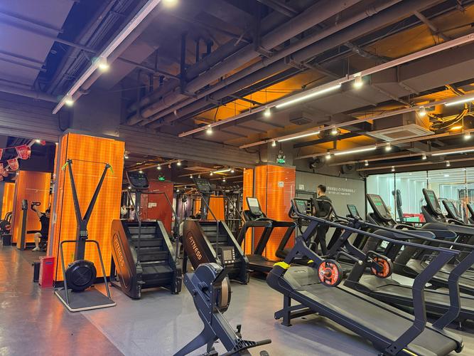 禁欲健身中心：探索心理与生理的双重调适