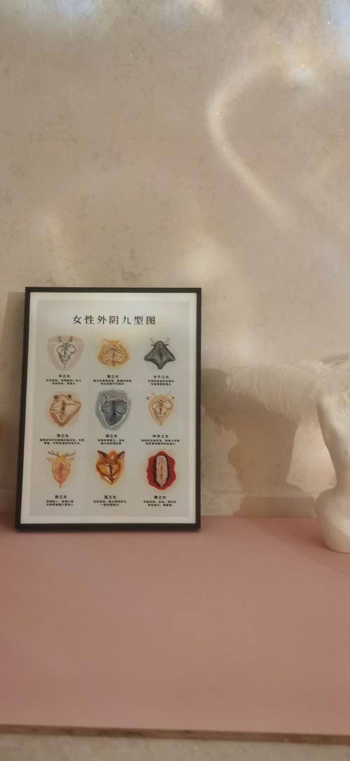 生殖活动学院版本大全分析：深度解读与实践建议