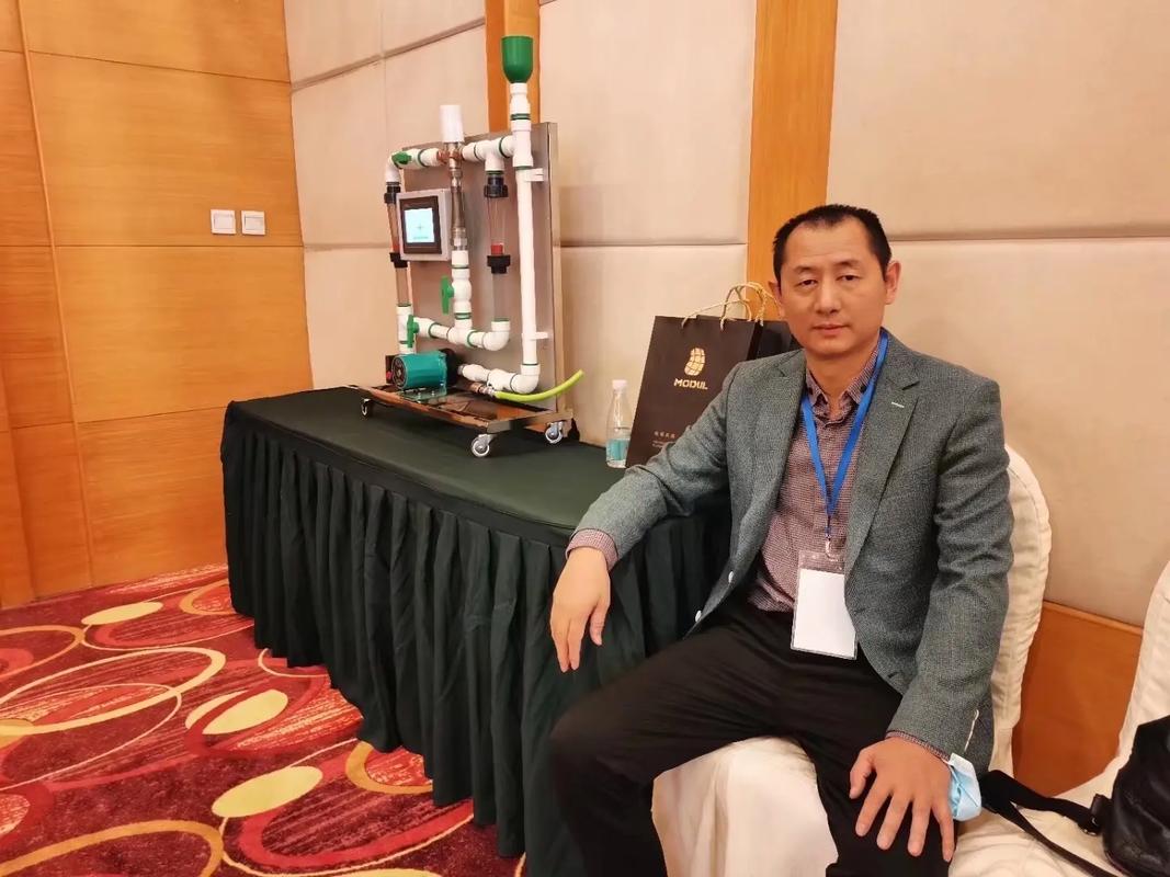 深入分析 Quan冉有点饿安卓汉化的魅力与市场潜力