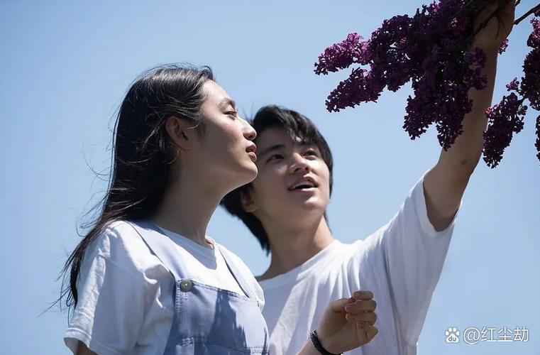 如何下载《与你共度的夏日》：详细实用教程