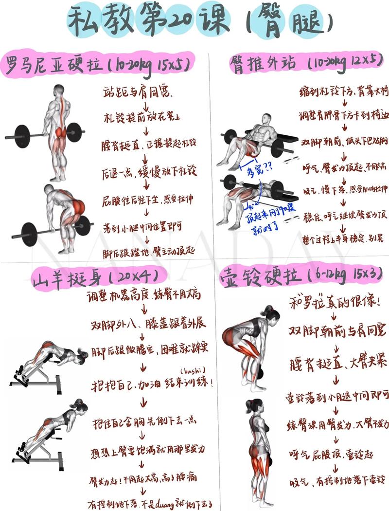 健身教练补课游戏介绍：健身与娱乐的完美结合