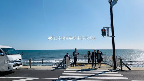 如何下载日本的新起点：详细教程与实用技巧