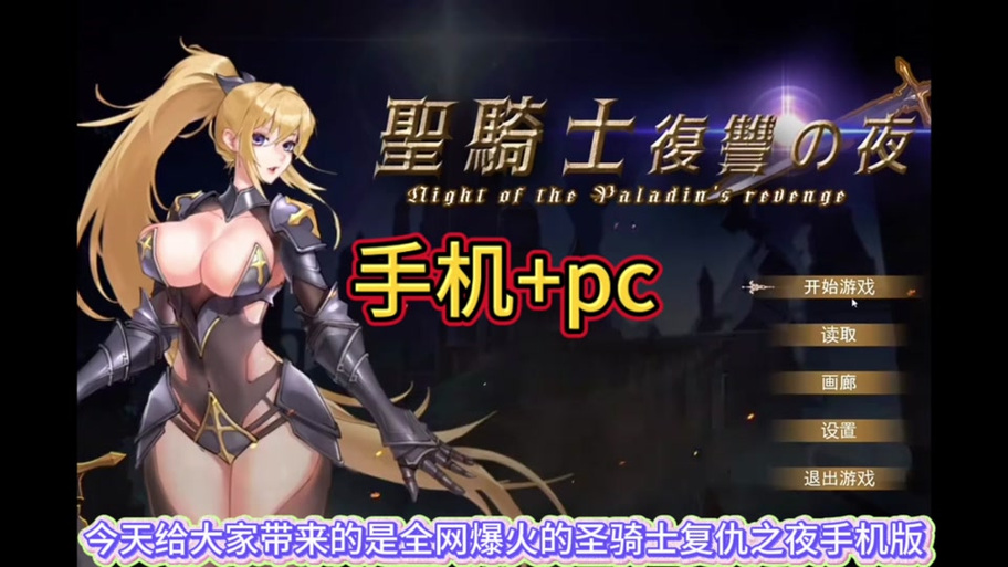 深入分析《圣骑士复仇之夜》版本大全:全面解读与实用建议