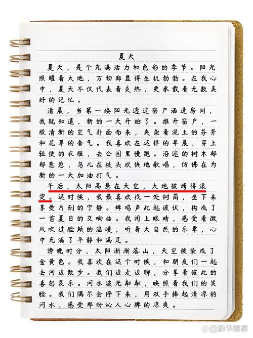 深度解析《被弄湿的夏天》最新版本：从玩法到用户体验的全面分析