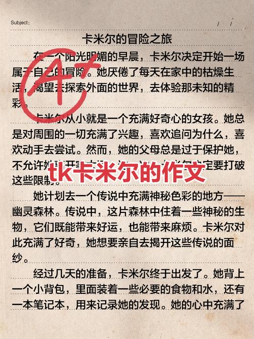 深入解析《诺莉卡的案件》：游戏攻略与玩家策略