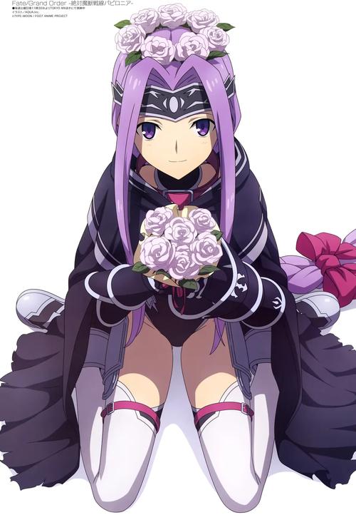 女骑士蕾蒂西亚与杨过游戏的深度剖析