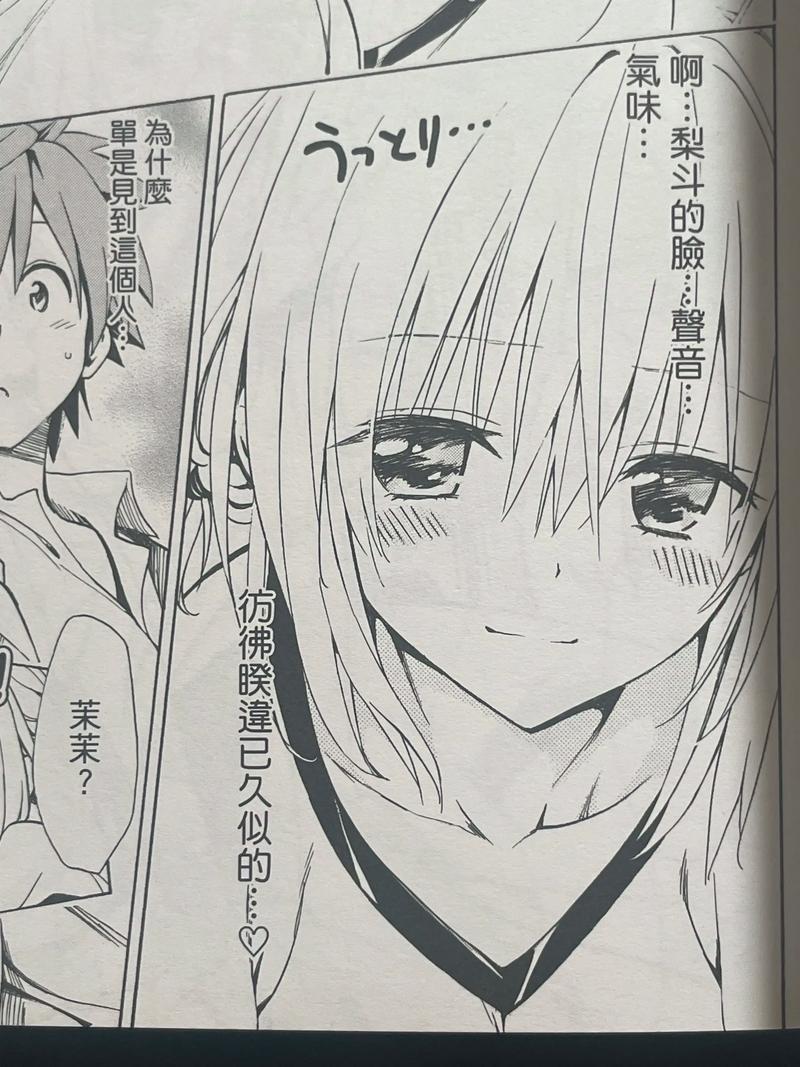 深入解析TOlove官方正式版下载最新版的魅力与潜力