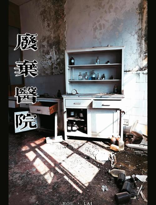 深入解析《废弃医院的恐怖最新版本》:恐怖游戏的心理学与设计美学