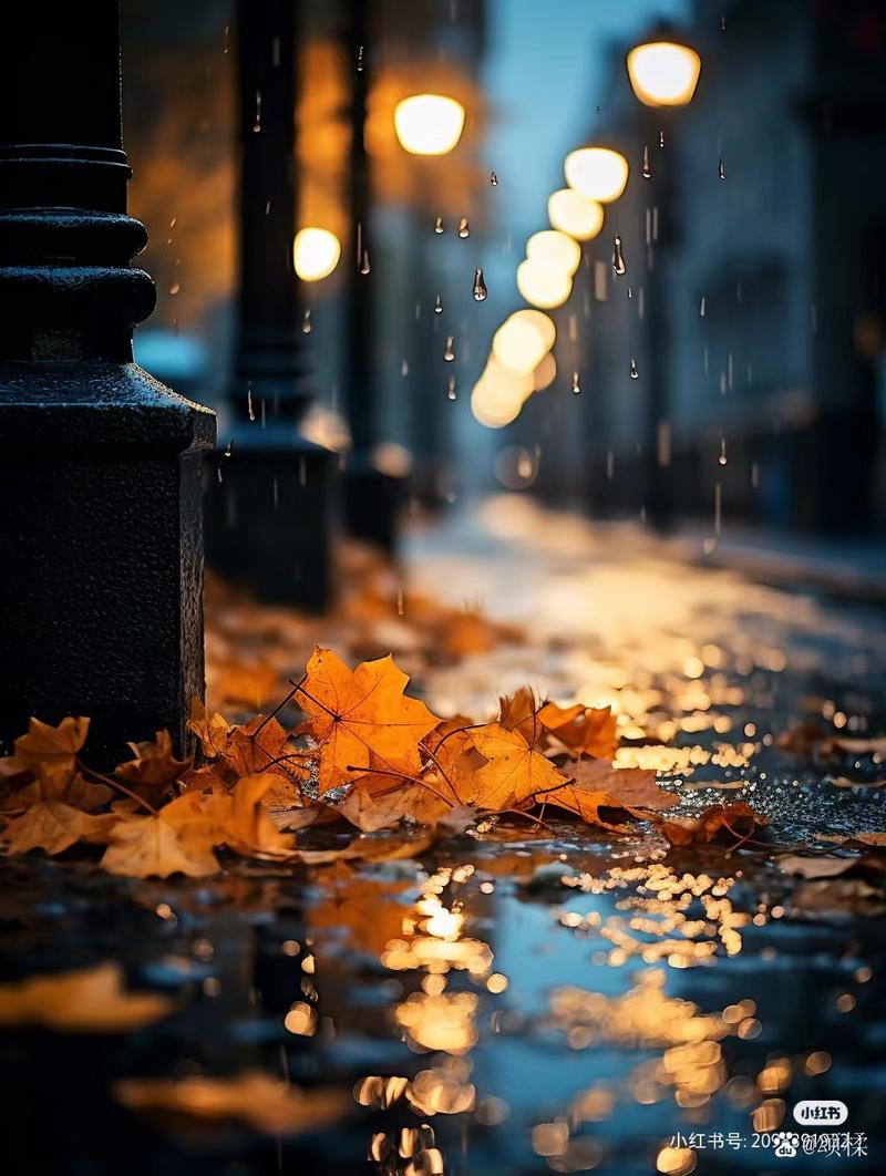 深入解析：任性旅人的家园版本大全的多样性与发展趋势