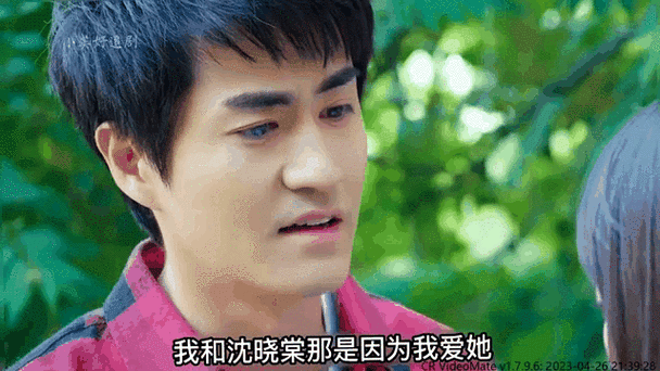 如何下载应为我爱她2：详细教程与注意事项