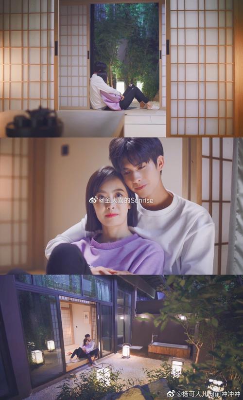 如何下载应为我爱她2：详细教程与注意事项