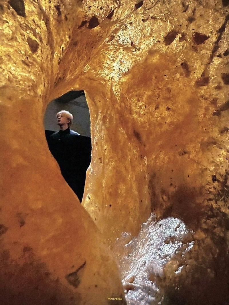 深入探索奥克伍德魔法学校：游戏下载与游戏性分析