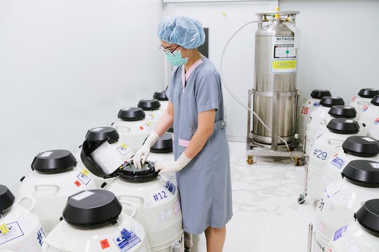 实验室LAB Still Alive绅士游戏实用教程