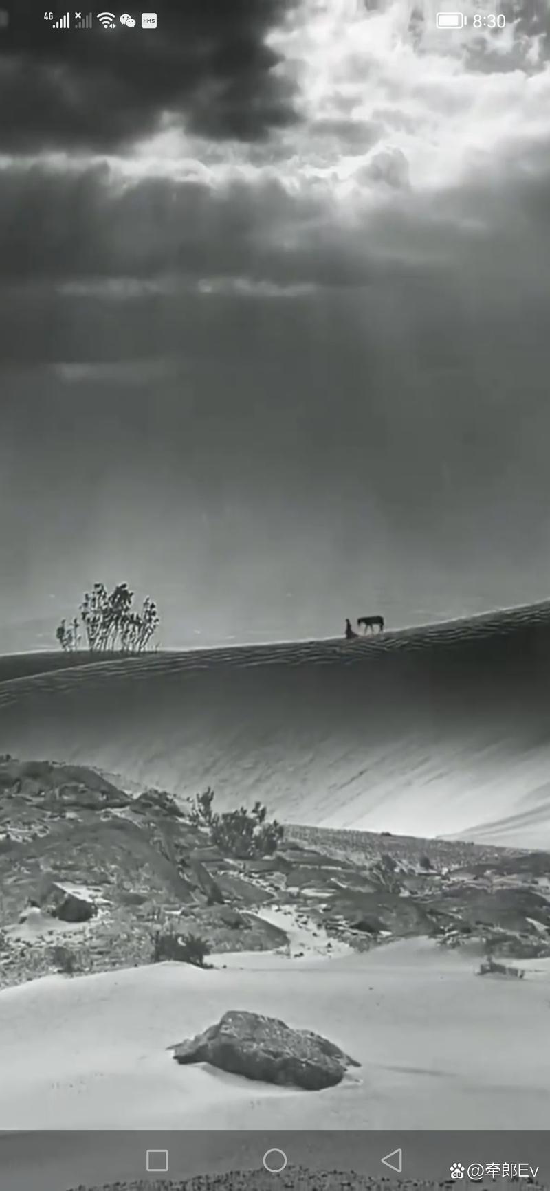 《灰色乐园最新版本》深度分析：探索游戏机制与玩家体验的变化