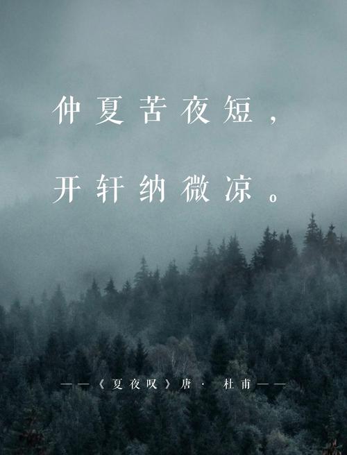 深入解析：台北仲夏夜之梦更新日志的变革与影响