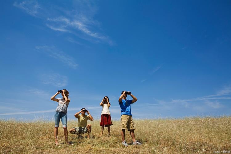 探索“远方的朋友”：安卓平台下载与用户体验分析