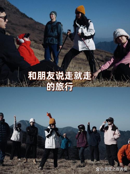 探索“远方的朋友”：安卓平台下载与用户体验分析