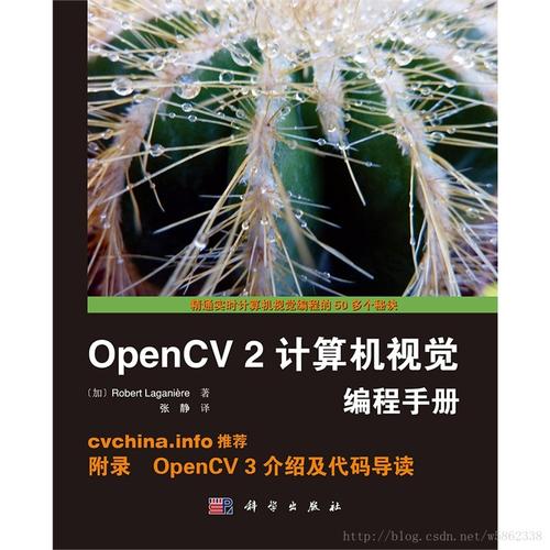 深入解析《菜鸟守卫与女王陛下》：极限挑战与战略布局