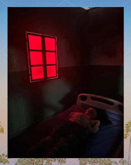 探秘废弃医院的恐怖游戏官网:设计与体验的深度分析