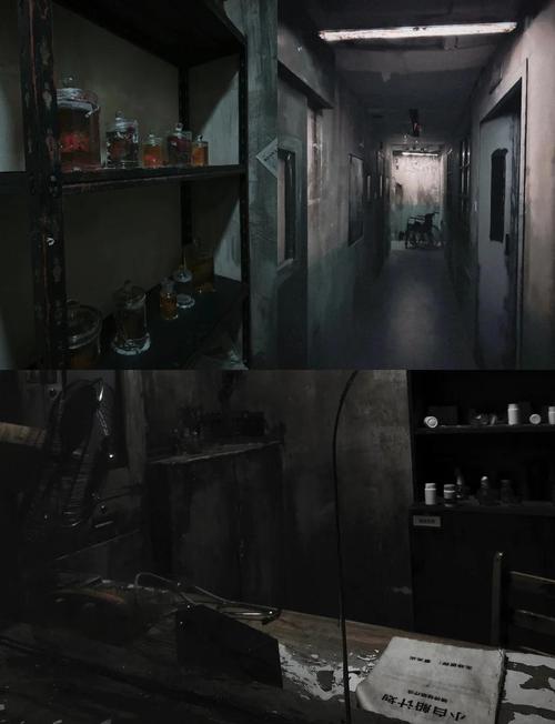 探秘废弃医院的恐怖游戏官网:设计与体验的深度分析