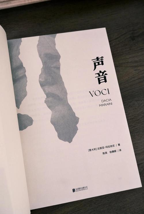 深度解析《我声音的颜色》安卓汉化的影响与前景