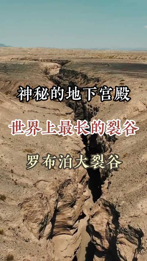 深度剖析《裂谷中的房子》官方正式版下载最新版的魅力与潜力