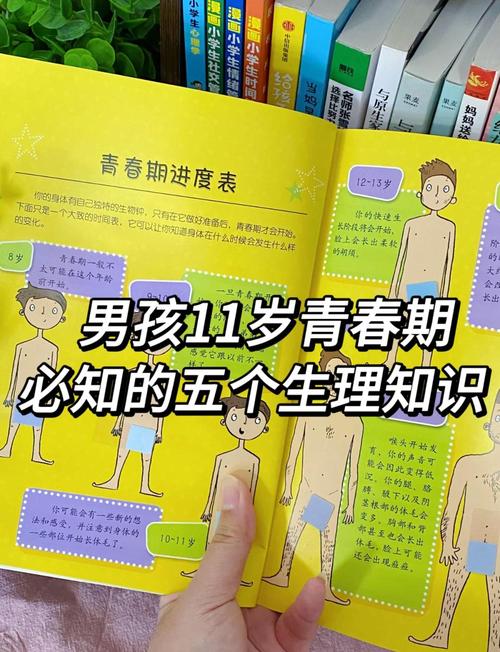 男孩成长为男人更新日志：发展历程与游戏性分析