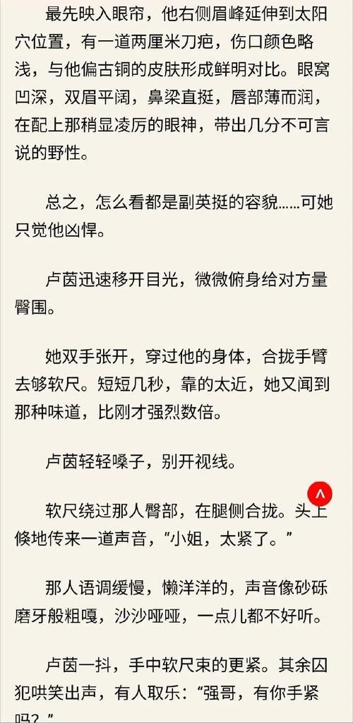 深入解析《涩豆豆》汉化版最新更新内容及其影响