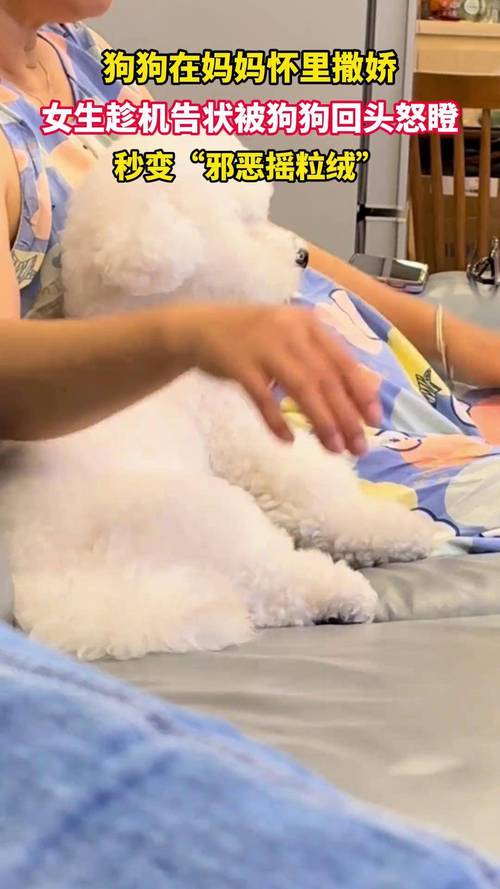 如何有效利用邪恶女干部任务官方网站进行游戏攻略