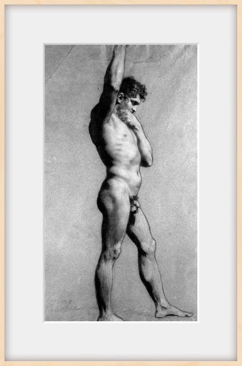 裸体学院：深度解析最新版本的创新与挑战