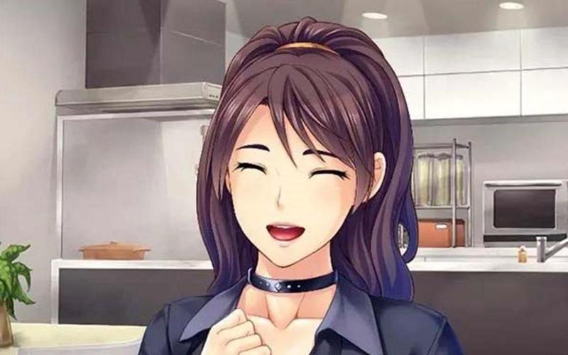 邻居人妻NTR游戏实用教程：从入门到精通