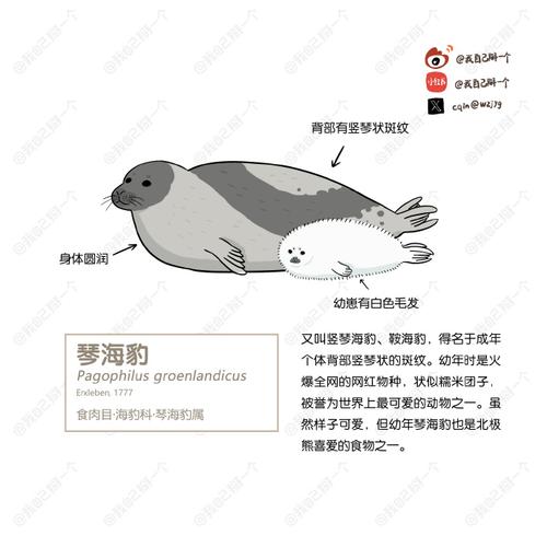 深入解析海豹社30部合集最新作品的艺术与技术