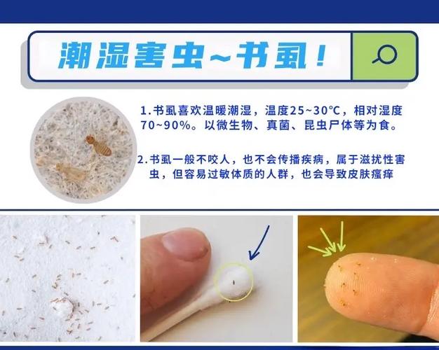 内部寄生虫更新地址的深度分析与探讨