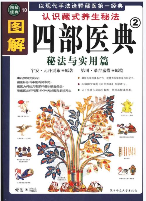 完整指南：如何下载医德游戏