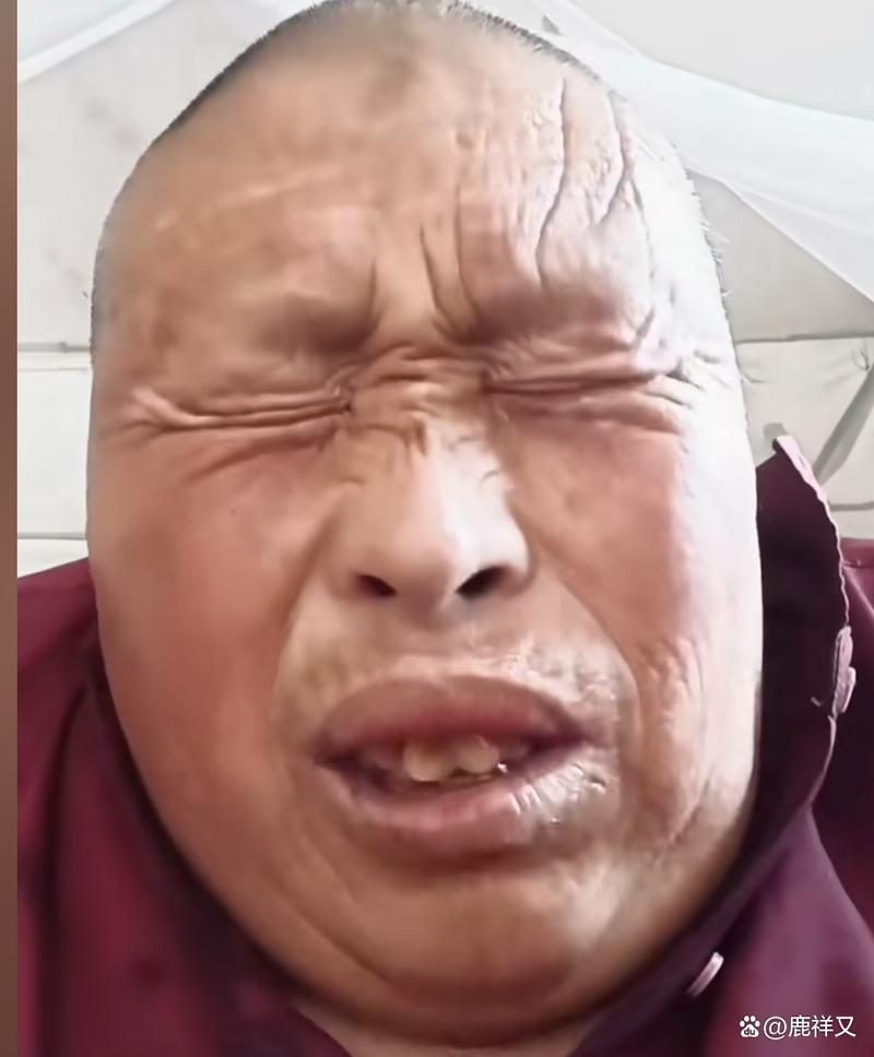 新手必看：鬼畜义父杨过游戏实用教程