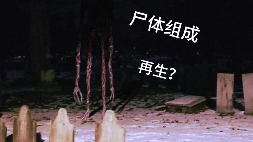 深入探讨：恶灵寄生的下载与安装指南