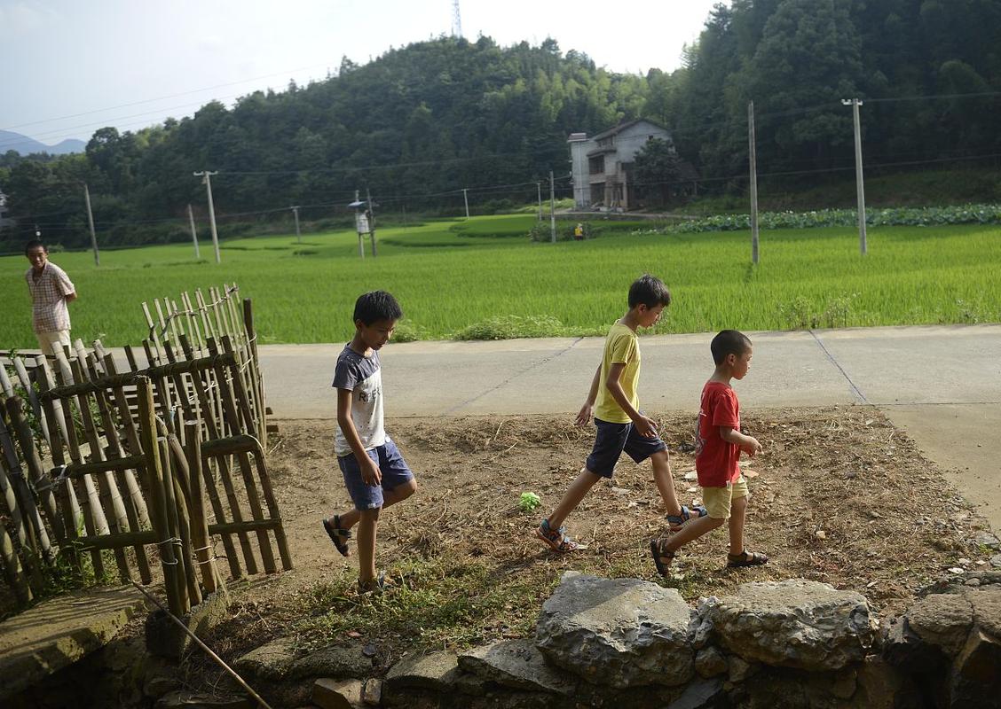 乡村生活的快乐暑假下载地址教程：一步步教你轻松下载