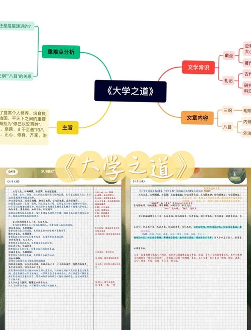 深入解析《大学狂热最新版本》的游戏机制与玩家体验
