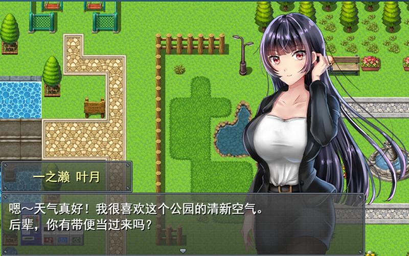 职场女友带回家游戏介绍与实用攻略