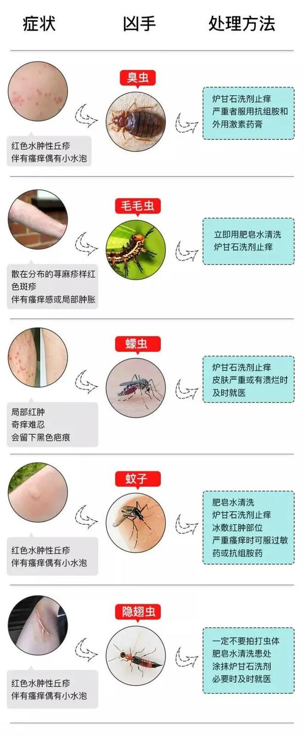 如何获取内部寄生虫最新版本及安装指南