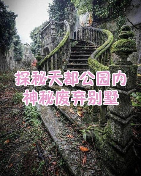 探寻神秘别墅更新地址的背后：游戏发展与玩家期待的交汇