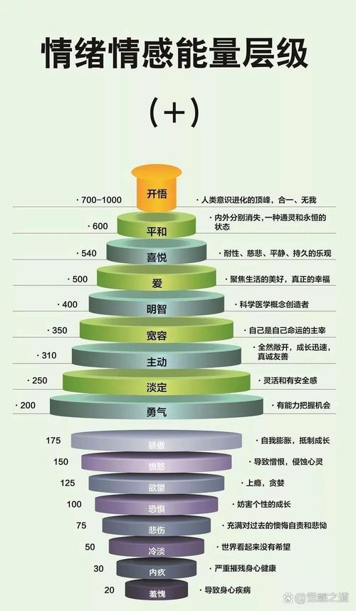 深入分析生命体v0.17d官方网站的设计与创新