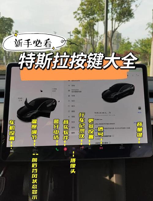 斯拉特福德安卓使用指南:实用教程与技巧