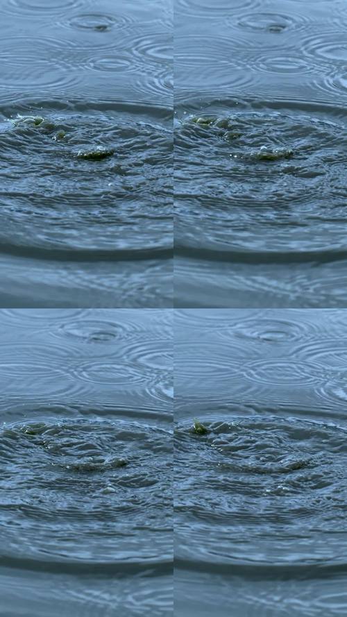 步骤一：下载安装涟漪版本