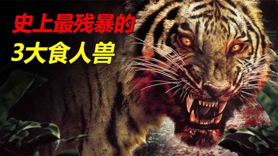 深入探索《暴食的怪兽公主》:一款引人入胜的游戏艺术和设计