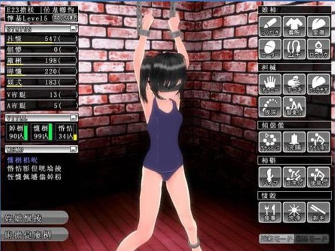 如何下载并安装监禁女王汉化版的详细教程