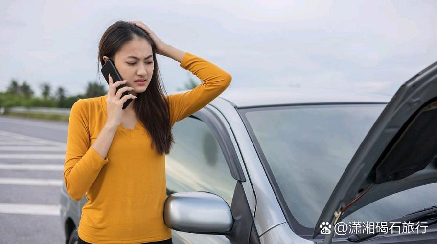 职场女友带回家的新趋势：深度分析与实践建议